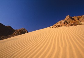 dunes-sinai-desert
