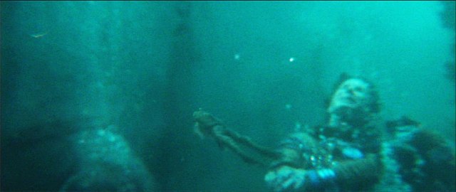 Frog in the movie Gravity